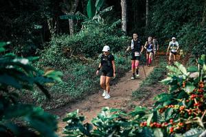 BIB: 
                            <button type="button" onclick="openModal(25814557)" class="btn btn-primary btn-sm float-right btn-popup" data-toggle="modal" data-target=".modal-high-quality">
                        <i class="fas fa-shopping-cart"></i> Add to Cart
                    </button>
                                            <button type="button" onclick="isThisMe(25814557, true)" class="btn btn-success btn-sm float-right btn-popup btn-isme hidden" data-toggle="tooltip" data-placement="bottom" title="นี่คือรูปของคุณใช่ไหม คลิกที่นี่เพื่อเอาเข้าอัลบั้ม">
                        <i class="fas fa-plus"></i> Add to album
                    </button>
                    <button type="button" onclick="isThisMe(25814557, false)" class="btn btn-warning btn-sm float-right btn-popup btn-isnotme hidden">
                        <i class="fas fa-ban"></i> Remove from album
                    </button>